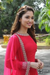 Tamannah at Bengal Tiger Movie Press Meet